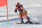 FIS Baltijas kauss 3.posms, GS, Foto: E.Lukšo