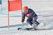 FIS Baltijas kauss 3.posms, GS, Foto: E.Lukšo