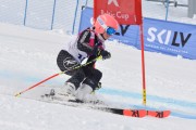 FIS Baltijas kauss 3.posms, GS, Foto: E.Lukšo