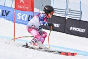 FIS Baltijas kauss 3.posms, GS, Foto: E.Lukšo