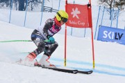 FIS Baltijas kauss 3.posms, GS, Foto: E.Lukšo