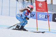 FIS Baltijas kauss 3.posms, GS, Foto: E.Lukšo