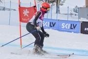 FIS Baltijas kauss 3.posms, GS, Foto: E.Lukšo