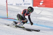 FIS Baltijas kauss 3.posms, GS, Foto: E.Lukšo