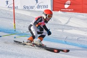 FIS Baltijas kauss 3.posms, GS, Foto: E.Lukšo