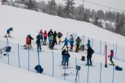 FIS Baltijas kauss 3.posms, SL, Foto: E.Lukšo