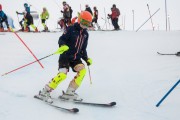 FIS Baltijas kauss 3.posms, SL, Foto: E.Lukšo