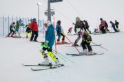 FIS Baltijas kauss 3.posms, SL, Foto: E.Lukšo