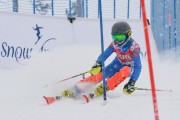 FIS Baltijas kauss 3.posms, SL, Foto: E.Lukšo