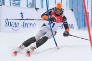 FIS Baltijas kauss 3.posms, SL, Foto: E.Lukšo