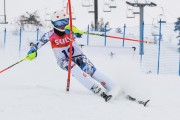 FIS Baltijas kauss 3.posms, SL, Foto: E.Lukšo