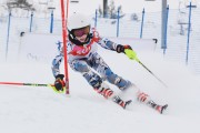 FIS Baltijas kauss 3.posms, SL, Foto: E.Lukšo