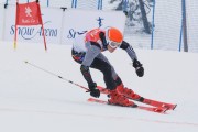 FIS Baltijas kauss 3.posms, PSL kvalifikācija, Foto: E.Lukšo