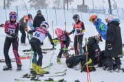 FIS Baltijas kauss 3.posms, PSL fināli, Foto: E.Lukšo