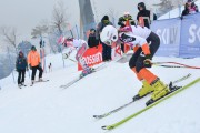 FIS Baltijas kauss 3.posms, PSL fināli, Foto: E.Lukšo