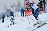 FIS Baltijas kauss 3.posms, PSL fināli, Foto: E.Lukšo