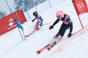 FIS Baltijas kauss 3.posms, PSL fināli, Foto: E.Lukšo