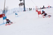 FIS Baltijas kauss 3.posms, PSL fināli, Foto: E.Lukšo