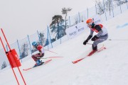 FIS Baltijas kauss 3.posms, PSL fināli, Foto: E.Lukšo