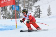 FIS Baltijas kauss 3.posms, U10 sacensības, Foto: E.Lukšo