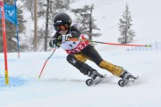 FIS Baltijas kauss 3.posms, U10 sacensības, Foto: E.Lukšo