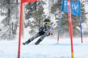 FIS Baltijas kauss 3.posms, U10 sacensības, Foto: E.Lukšo