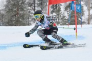 FIS Baltijas kauss 3.posms, U10 sacensības, Foto: E.Lukšo