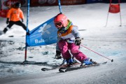 Siguldas kauss 2019, atklāšana un milzu slaloms