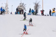 FIS Baltijas kauss 3.posms, LV & EE čempionāts milzu slalomā , Foto: E.Lukšo