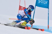 FIS Baltijas kauss 3.posms, LV & EE čempionāts milzu slalomā , Foto: E.Lukšo