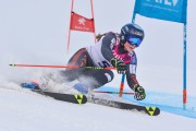 FIS Baltijas kauss 3.posms, LV & EE čempionāts milzu slalomā , Foto: E.Lukšo