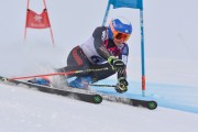 FIS Baltijas kauss 3.posms, LV & EE čempionāts milzu slalomā , Foto: E.Lukšo