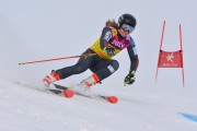 FIS Baltijas kauss 3.posms, LV & EE čempionāts milzu slalomā , Foto: E.Lukšo