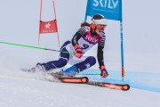 FIS Baltijas kauss 3.posms, LV & EE čempionāts milzu slalomā , Foto: E.Lukšo