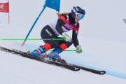 FIS Baltijas kauss 3.posms, LV & EE čempionāts milzu slalomā , Foto: E.Lukšo