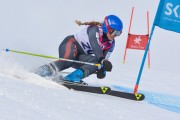 FIS Baltijas kauss 3.posms, LV & EE čempionāts milzu slalomā , Foto: E.Lukšo