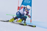 FIS Baltijas kauss 3.posms, LV & EE čempionāts milzu slalomā , Foto: E.Lukšo