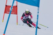 FIS Baltijas kauss 3.posms, LV & EE čempionāts milzu slalomā , Foto: E.Lukšo