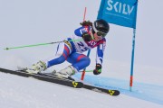 FIS Baltijas kauss 3.posms, LV & EE čempionāts milzu slalomā , Foto: E.Lukšo