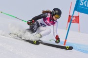 FIS Baltijas kauss 3.posms, LV & EE čempionāts milzu slalomā , Foto: E.Lukšo