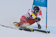 FIS Baltijas kauss 3.posms, LV & EE čempionāts milzu slalomā , Foto: E.Lukšo