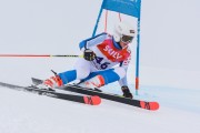 FIS Baltijas kauss 3.posms, LV & EE čempionāts milzu slalomā , Foto: E.Lukšo