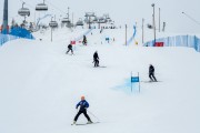 FIS Baltijas kauss 3.posms, LV & EE čempionāts milzu slalomā , Foto: E.Lukšo