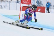 FIS Baltijas kauss 3.posms, LV & EE čempionāts milzu slalomā , Foto: E.Lukšo