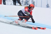 FIS Baltijas kauss 3.posms, LV & EE čempionāts milzu slalomā , Foto: E.Lukšo