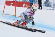 FIS Baltijas kauss 3.posms, LV & EE čempionāts milzu slalomā , Foto: E.Lukšo