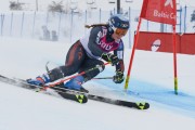 FIS Baltijas kauss 3.posms, LV & EE čempionāts milzu slalomā , Foto: E.Lukšo