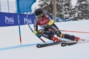 FIS Baltijas kauss 3.posms, LV & EE čempionāts milzu slalomā , Foto: E.Lukšo