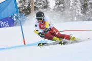 FIS Baltijas kauss 3.posms, LV & EE čempionāts milzu slalomā , Foto: E.Lukšo