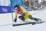 FIS Baltijas kauss 3.posms, LV & EE čempionāts milzu slalomā , Foto: E.Lukšo